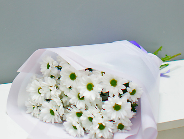 Buchet din 5 ramuri de crizanteme albe foto